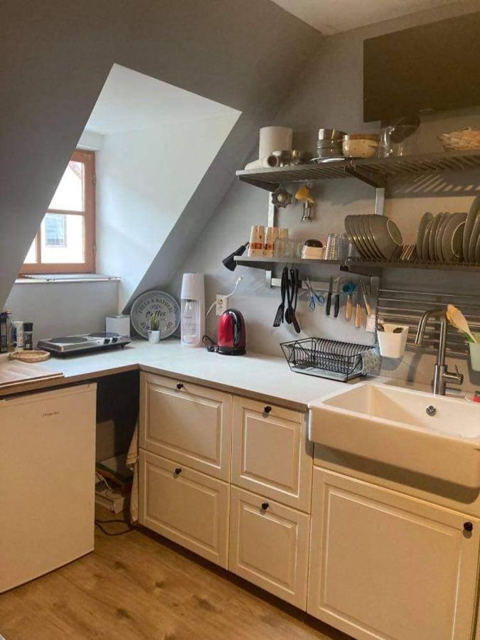 Apartman Pod Starym Zamkom Banská Štiavnica Eksteriør billede